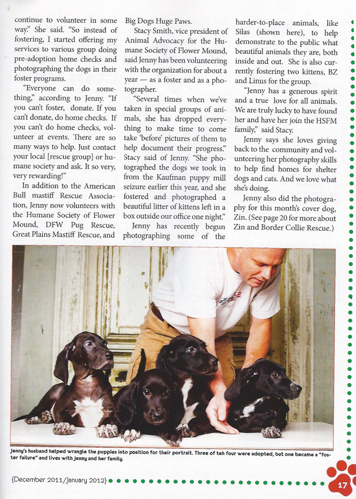 Texas Dogs & Cats Magazine December 2011 Page 2