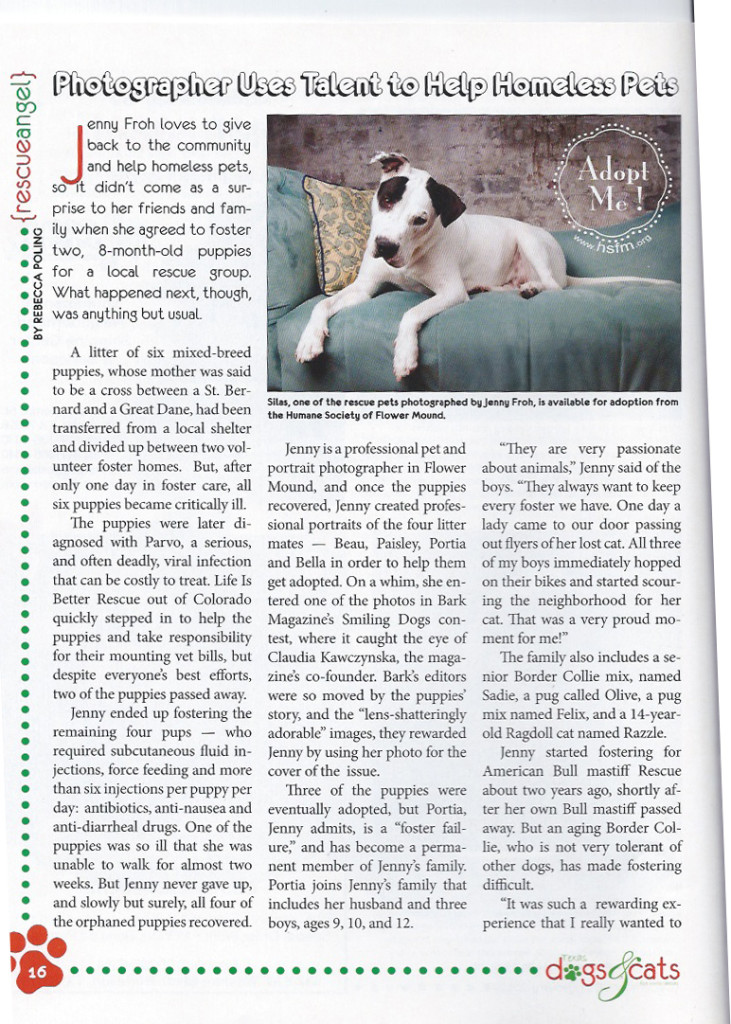 Texas Dogs & Cats Magazine December 2011 Page 1