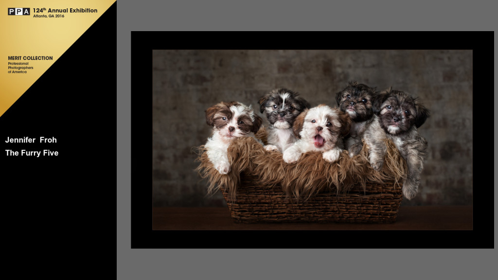 PPA IPC "The Furry Five" basket of puppies