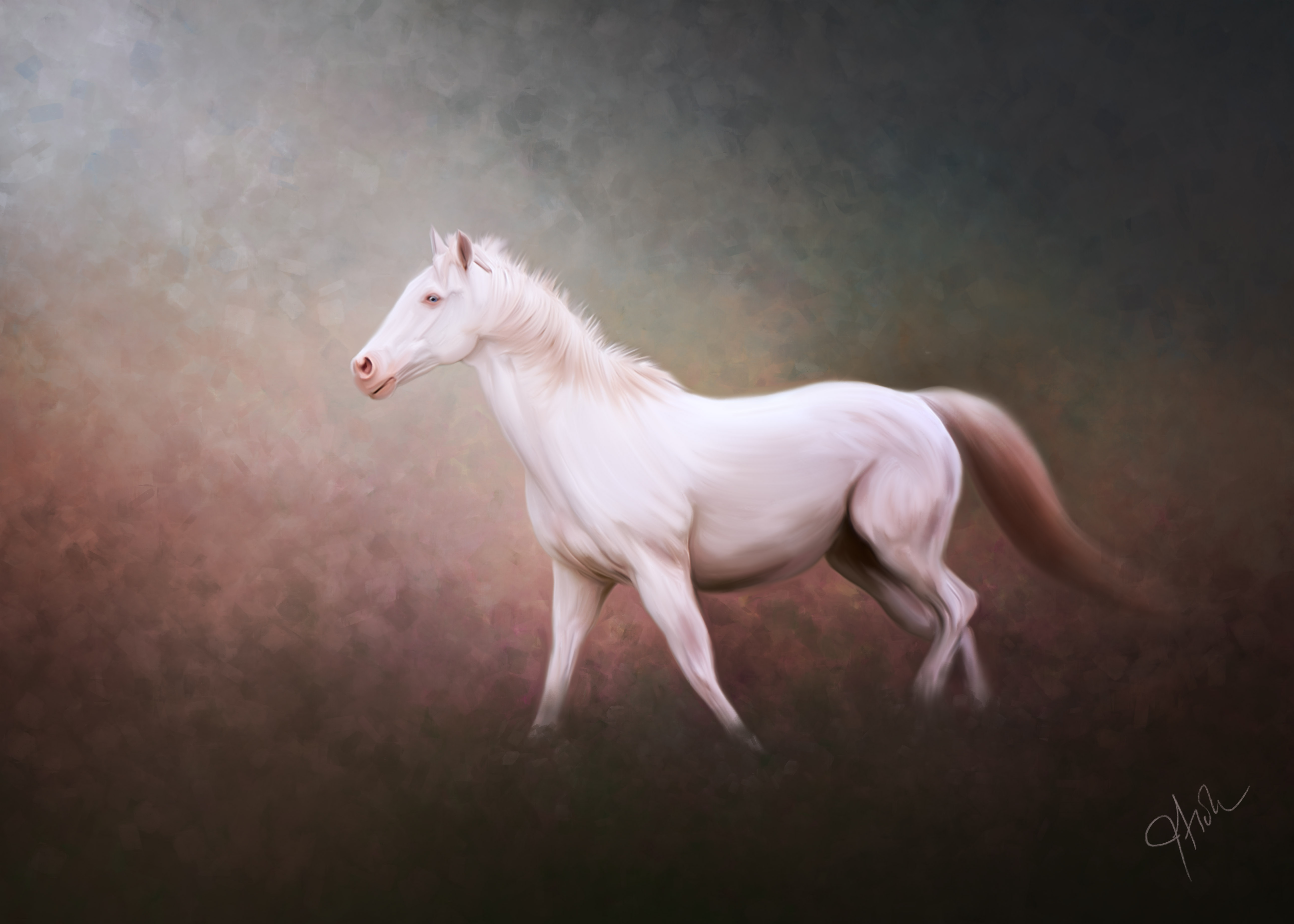 White Horse Art Print on Canvas